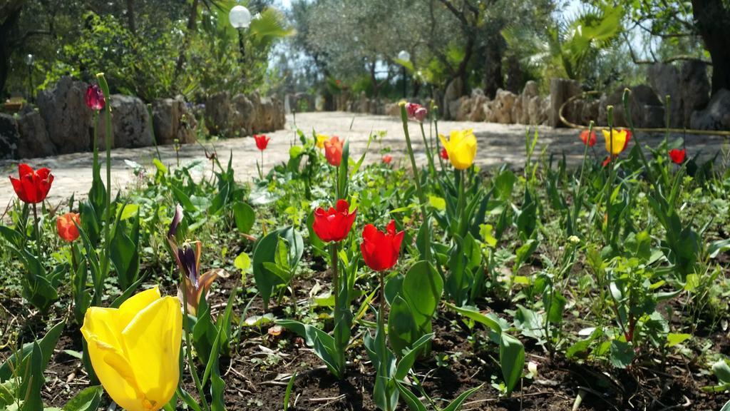 Agriturismo Tenuta La Siesta Gallipoli Eksteriør billede