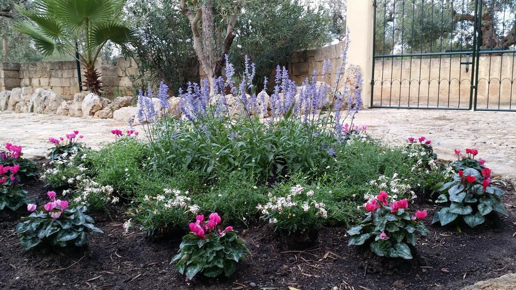 Agriturismo Tenuta La Siesta Gallipoli Eksteriør billede