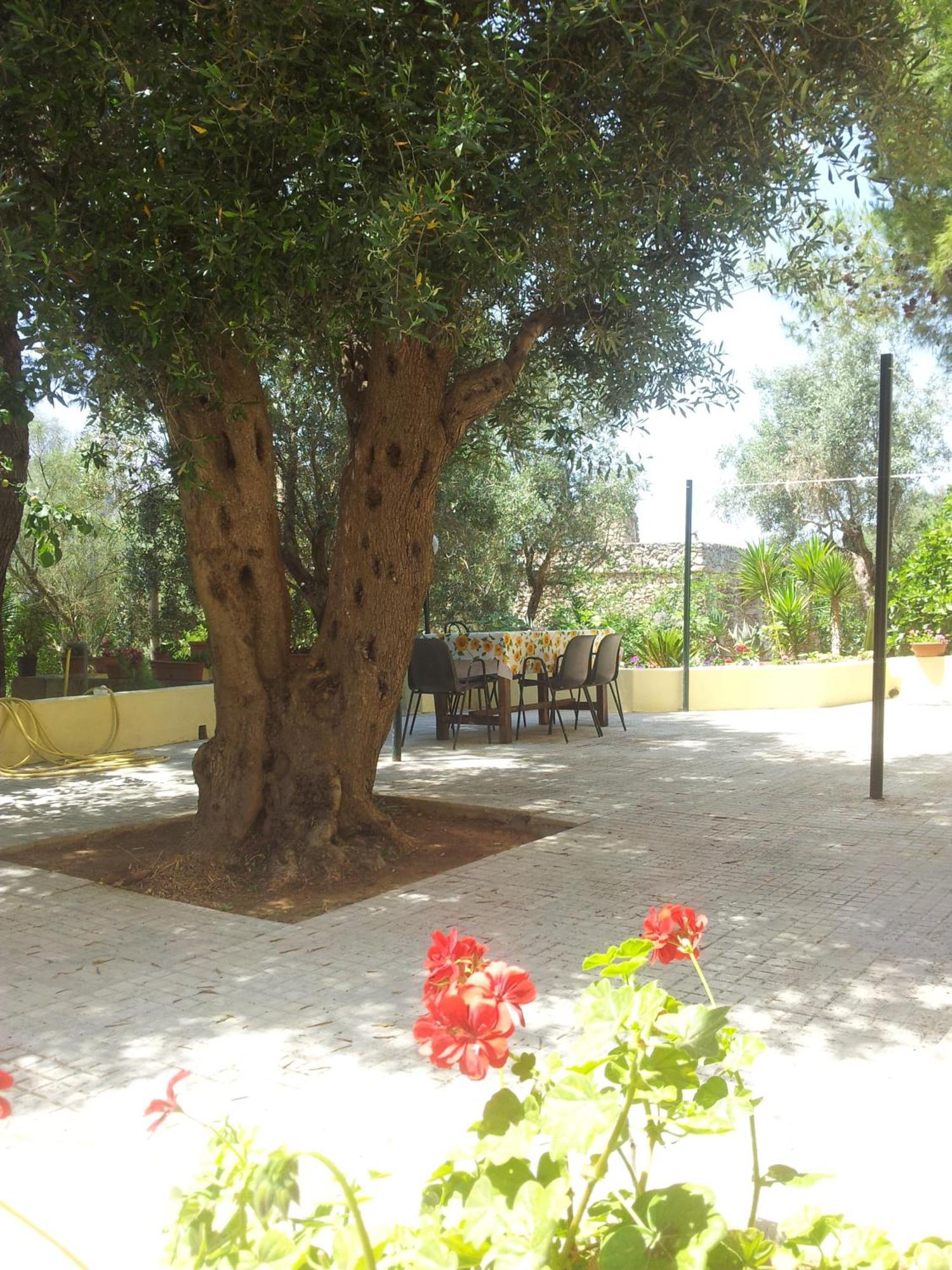 Agriturismo Tenuta La Siesta Gallipoli Eksteriør billede