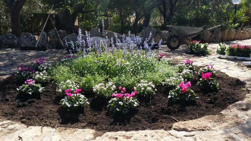 Agriturismo Tenuta La Siesta Gallipoli Eksteriør billede