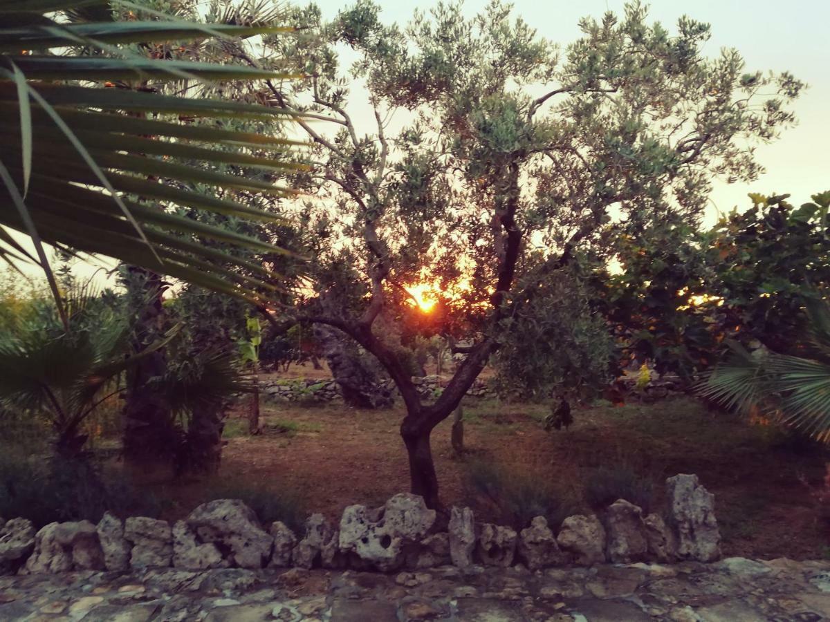 Agriturismo Tenuta La Siesta Gallipoli Eksteriør billede