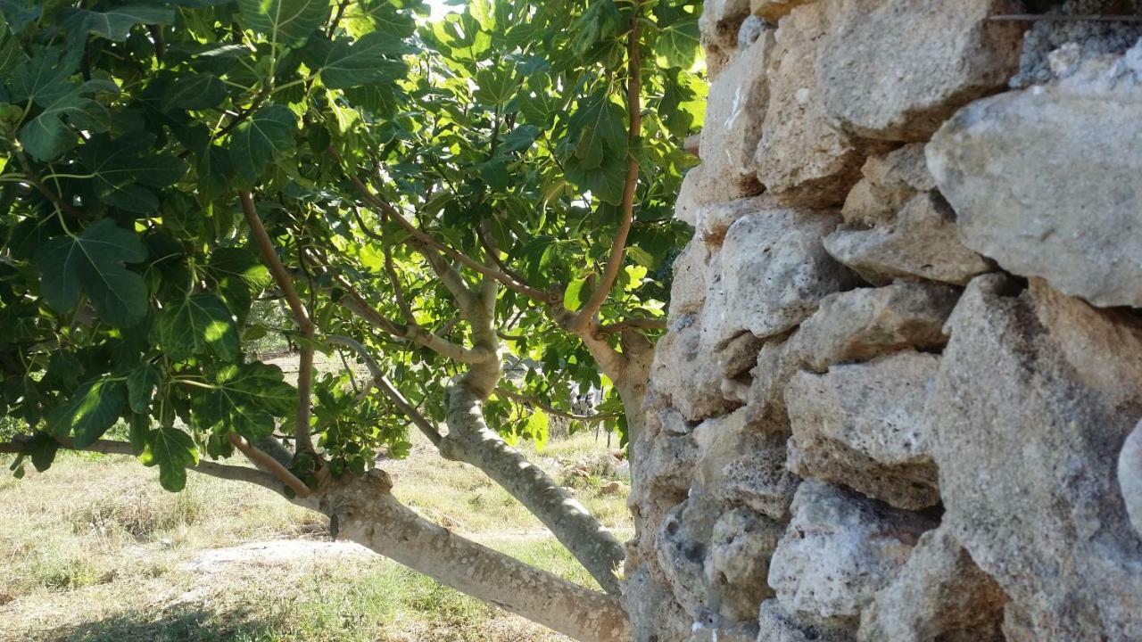 Agriturismo Tenuta La Siesta Gallipoli Eksteriør billede